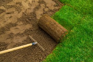 Irrigation, Drainage, Landscaping Services in Midlothian, TX